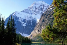 华体会官方-利物浦2-1战胜巴黎圣日耳曼，欧冠小组赛收获关键胜利的简单介绍