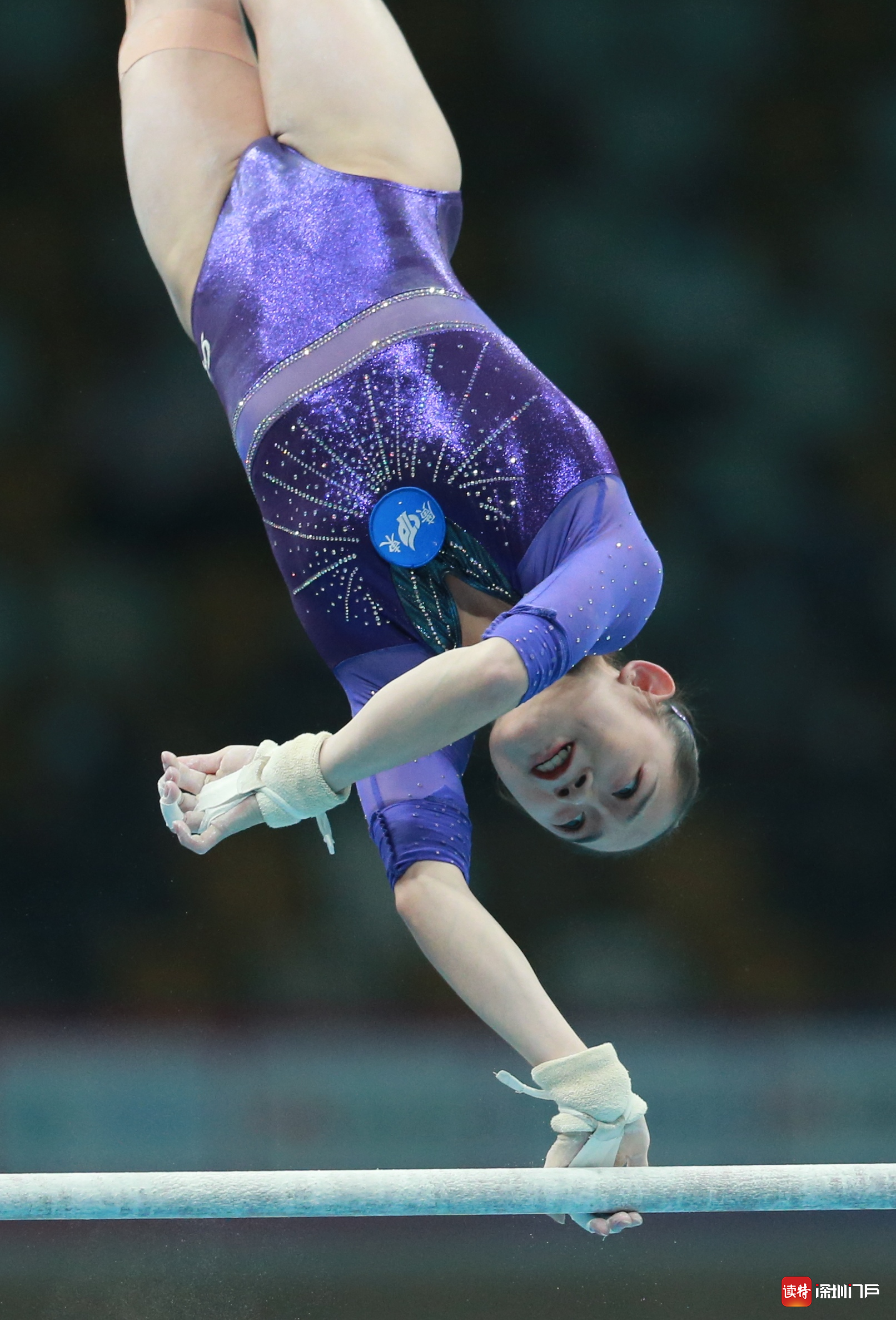 关于体操女团意大利队表现出色，位居榜首的信息